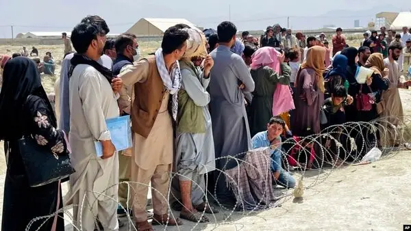 به خاطر ۱۰۰ میلیون تومان اقامت در ایران را به افغان‌ها می‌فروشند! 