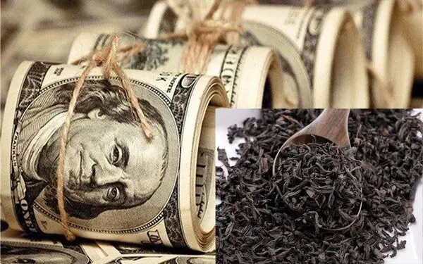 اموال مرتبطین چای دبش توقیف شد؟