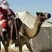 عربستان برای نخستین‌بار جشن کریسمس برگزار می‌کند