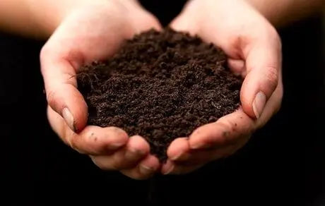 چگونه پس از مرگ، جسد انسان به کود تبدیل می‌شود؟