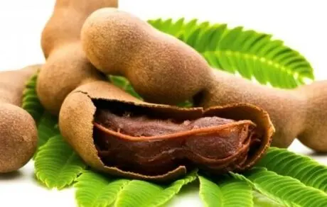 با خواص شگفت‌انگیز تمر هندی آشنا شوید