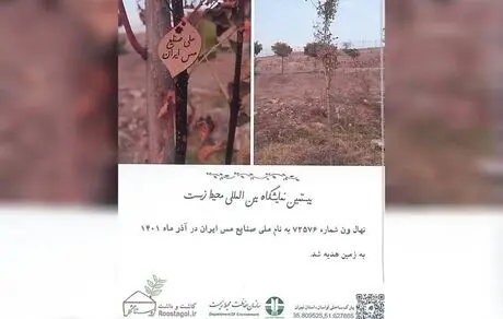 کاشت نهالی به نام شرکت ملی مس به پاس قدردانی از اقدامات محیط زیستی