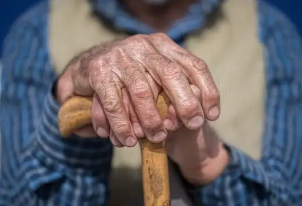 وجود ۲۶ میلیون پیر ایرانی در سال ۱۴۳۰