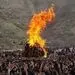 لغو برگزاری مراسم نوروز!