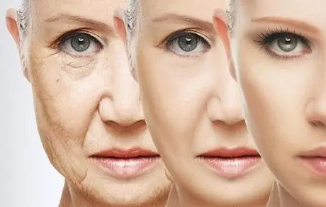 کدام مواد غذایی روند پیری را کند می‌کنند؟