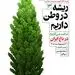 گام سوم پویش ملی «ریشه در وطن داریم»؛ در‌آلو در مسیر سبز مس ایران