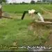 زیر پایمان در حال خالی شدن است! 