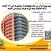 بیمه ایران؛ پرچمدار خدمت بی‌نظیر