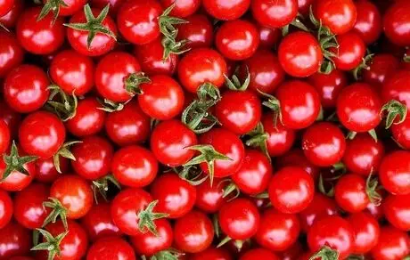 صادرات تخم مرغ، گوجه و خرما ممنوع شد