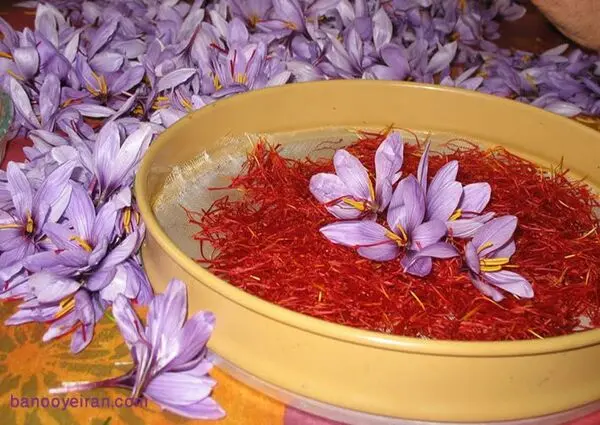 مقابله گران ترین ادویه جهان با داروهای افسردگی