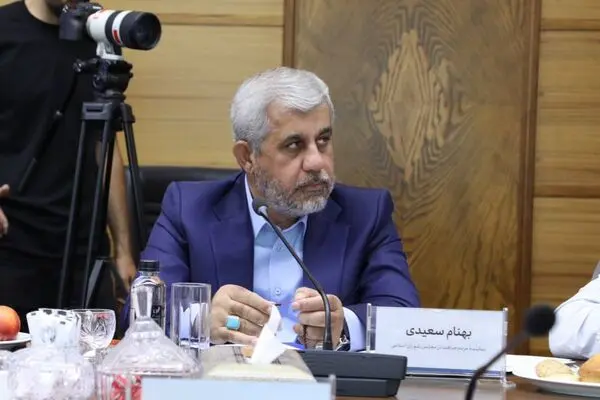 نشست هم‌اندیشی نمایندگان کرمان با مدیران گروه مالی گردشگری با هدف توسعه استان

