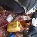 هجوم مردم برای جمع کردن بنزین از روی زمین