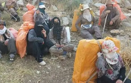 زنان کولبر حقیقت جامعه‌اند نه خطیبی که هرزگی را به زنان می‌چسباند