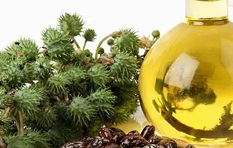 قویترین روغن مو که حتی طاسی سر را درمان می کند!