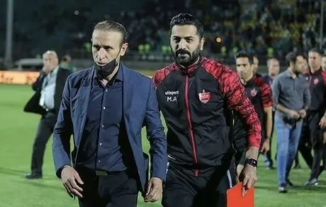 معاون باشگاه پرسپولیس: بحثی برای تغییر گل‌محمدی نداریم