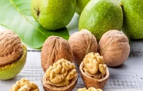 سلامت روده‌تان را با این ماده غذایی تضمین کنید