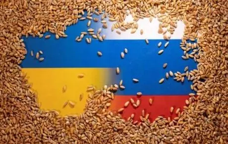 ترکیه، غلاتِ دزدی اوکراین را می‌خرد