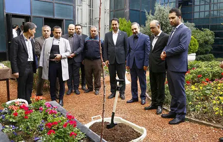 کاشت نهال" امید ملت" به دست مدیرعامل بانک ملت