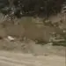 ما همچون مسئولین کشور، بر زیبایی این خاک تبر می‌زنیم!