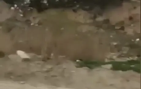 ما همچون مسئولین کشور، بر زیبایی این خاک تبر می‌زنیم!