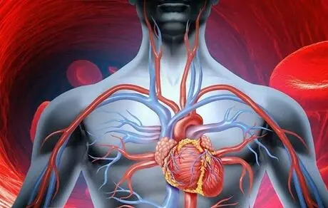  گزینه  های طبیعی برای بهبود گردش خون 