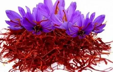 آیا زعفران باعث سقط جنین می‌شود؟