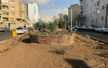 اجرای طرح ساخت سبد گل با ضایعات هرس