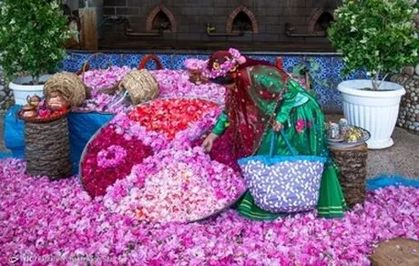 جشنواره گل و گلاب میمند