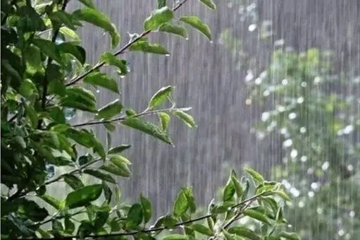 هواشناسی؛ طوفان و بارش تگرگ در راه ۱۲ استان کشور