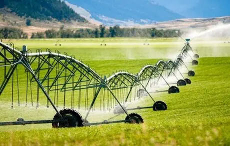 قیمت تضمینی، کشاورزی را اقتصادی نمی‌کند