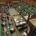 اقدام غیراخلاقی نماینده مجلس در صحن