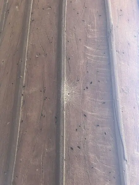 چهل ستون خوراک موریانه‌ها شد + عکس