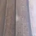 چهل ستون خوراک موریانه‌ها شد + عکس