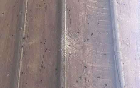 چهل ستون خوراک موریانه‌ها شد + عکس