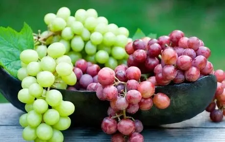 میوه‌ای شگفت‌آور برای سالمندان/ سالمندان حتما این میوه را بخورند