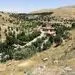 شهرداری درباره قطع درختان چیتگر و سرخه حصار توضیح داد: آفت‌زده بودند