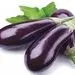 آلرژی به بادمجان را چگونه تشخیص دهیم؟