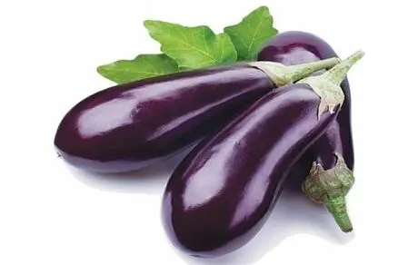 آلرژی به بادمجان را چگونه تشخیص دهیم؟
