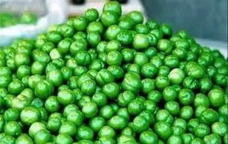 گوجه سبز برای این افراد ممنوع!