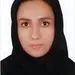 تقویت مسیر پارادیپلماسی اقتصادی